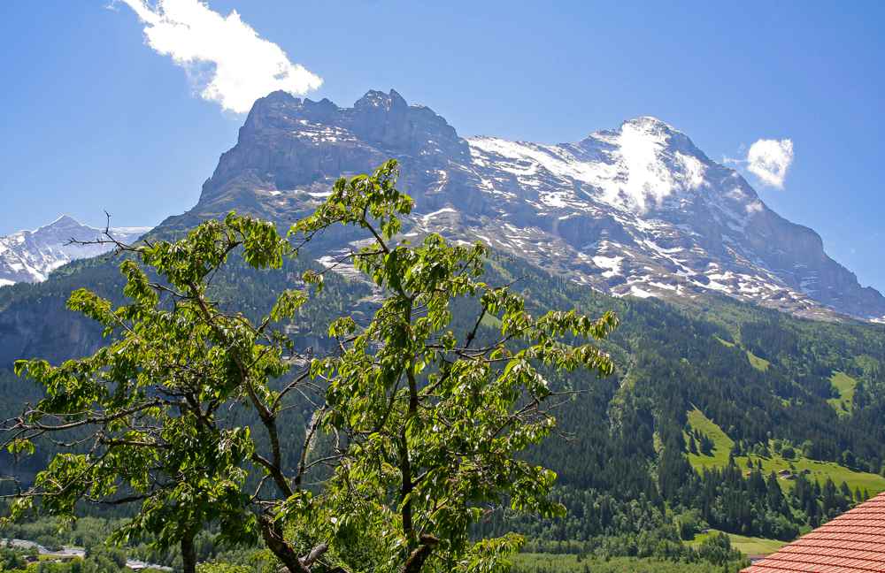 Eiger-Sommer